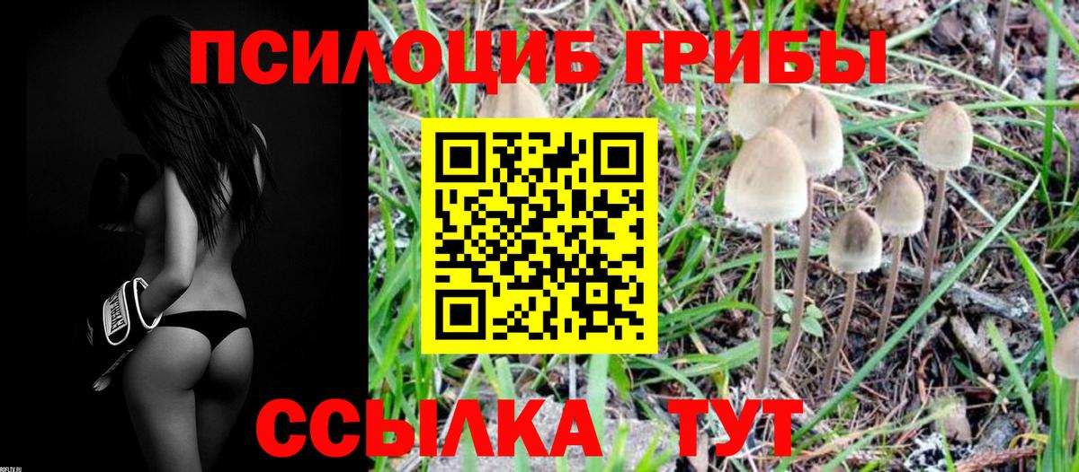 Железноводск  Галлюциногенные грибы мухоморы  Вход с VPN  Галлюциногенные грибы мицелий 